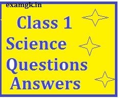 Class 1 Science Questions 