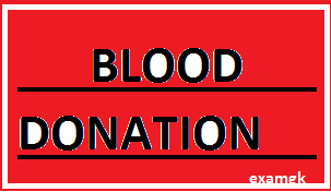 Blood Donation Essay, Importance of Blood Donation Essay