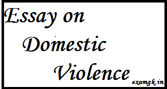 Essay on Domestic Violence 