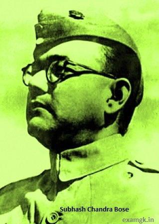 Essay on Subhash Chandra Bose in English 500 words for Students